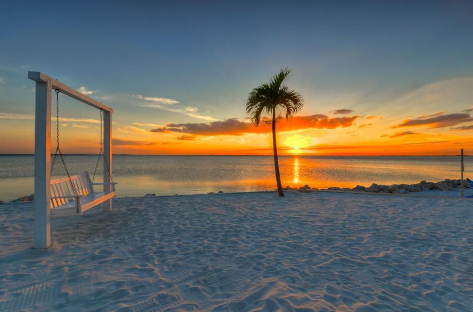 412-Amazing Views, Waterfront, Wifi, Pool, Close To Bucs Stadium Tampa Zewnętrze zdjęcie