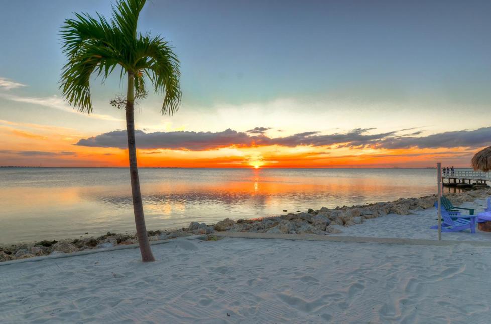 412-Amazing Views, Waterfront, Wifi, Pool, Close To Bucs Stadium Tampa Zewnętrze zdjęcie